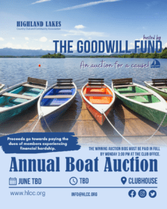 boat auction